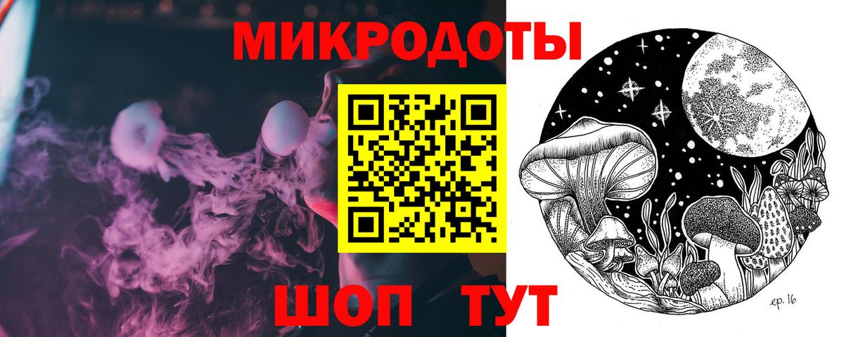 Галлюциногенные грибы Psilocybe Братск